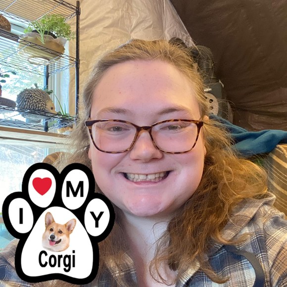corgilover24